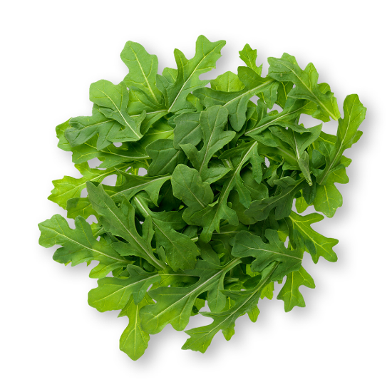 Arugula