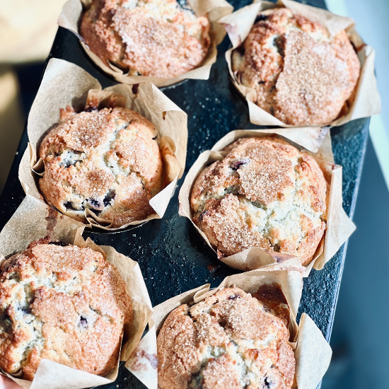 Six Pack - Blueberry Muffin