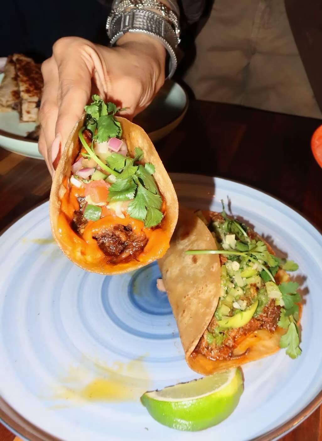 Bombay Birria